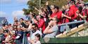 Lewes FC supporters