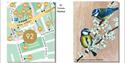 Map of venue and further image of blue tits