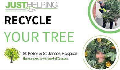 Christmas Tree Recycling