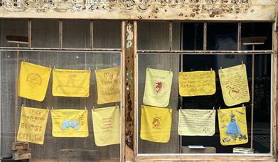 Domestic Dusters Display