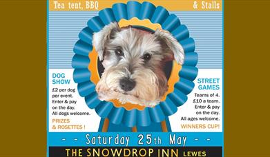 South Street Dog Show and Sports Day