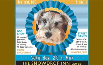 South Street Dog Show and Sports Day