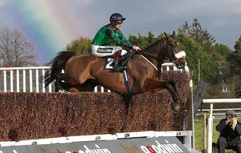 Racehorse jumping steeplechase fence with rainbow in the sky