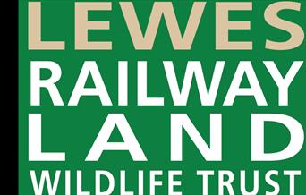 Lewes Railway Land poster