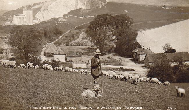 Lewes History Group - Shepherds of the Sussex Downs