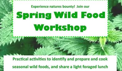 Poster for Wild Food Workshop