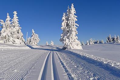 Sjusjøen