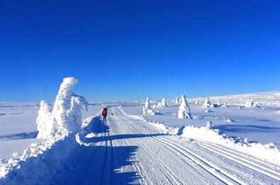 Langrenn på Sjusjøen