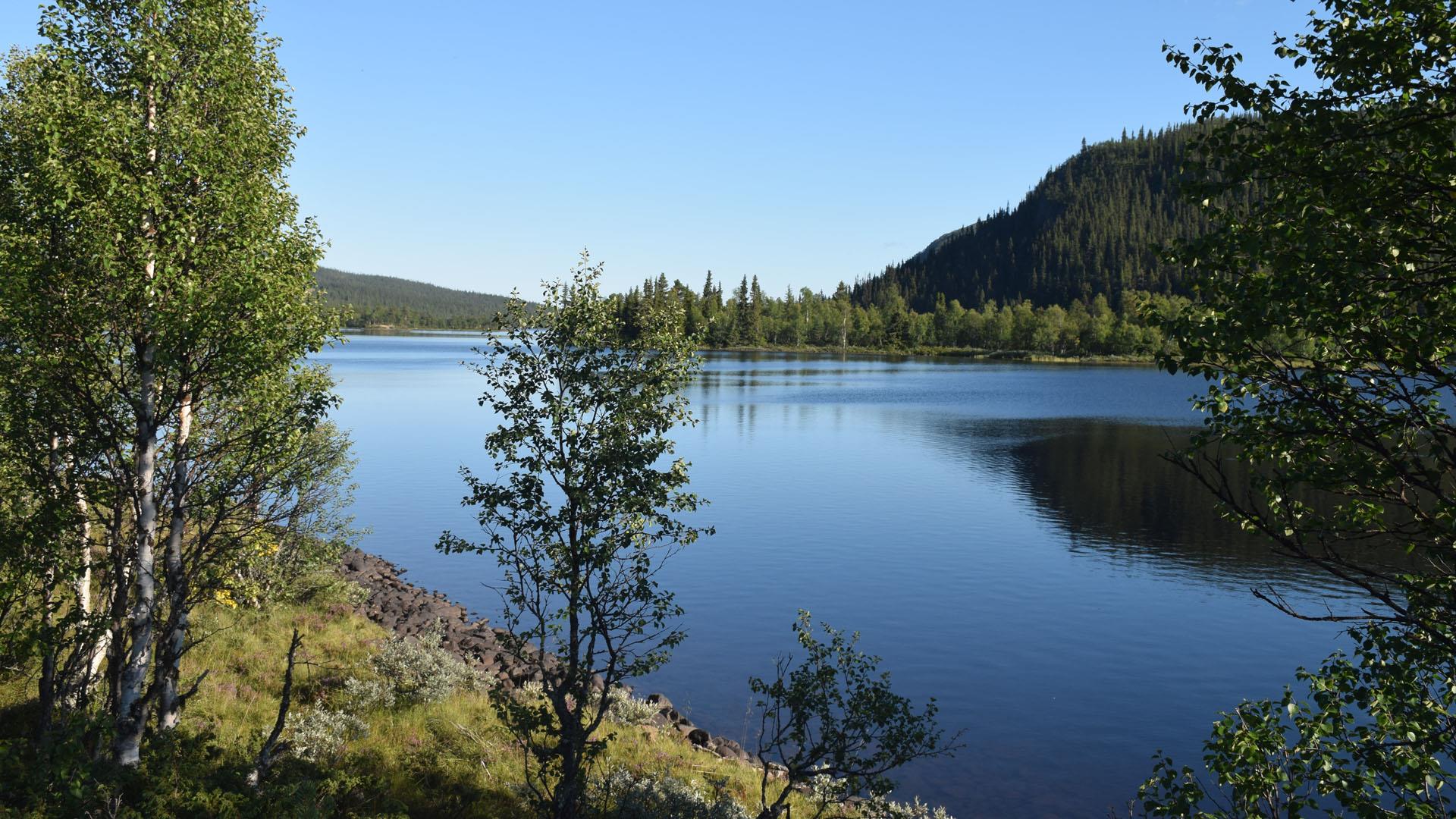 Utsikt over et vann i Langsua nasjonalpark