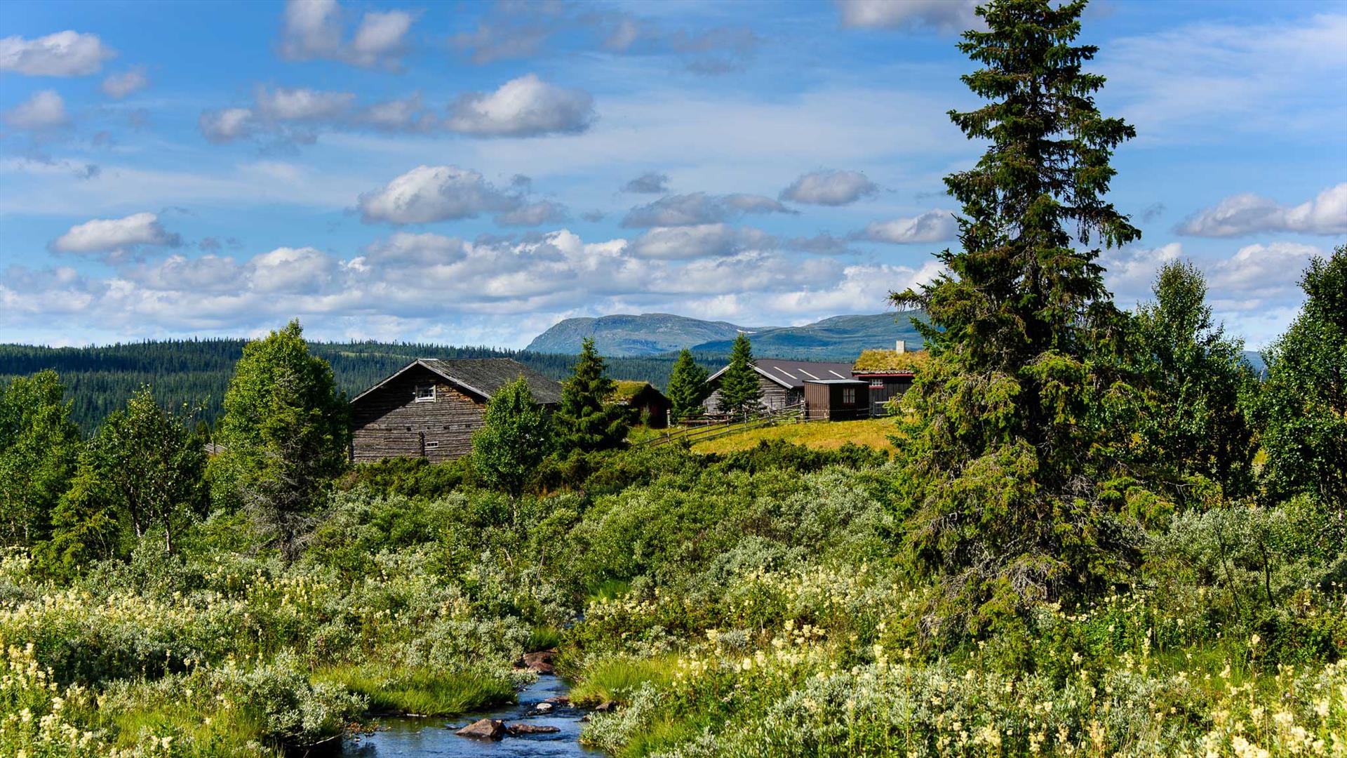 Mountain farm with a view of Langsua Mountain Farm