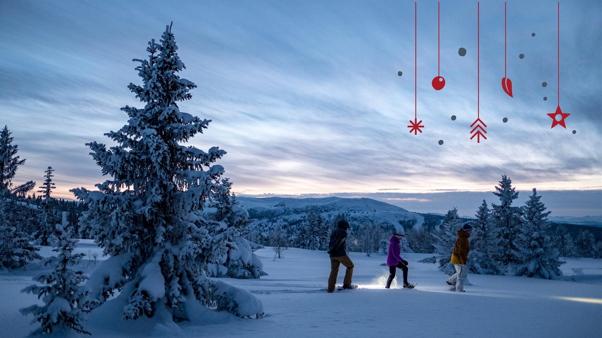 Snowshoe walking at Gålå