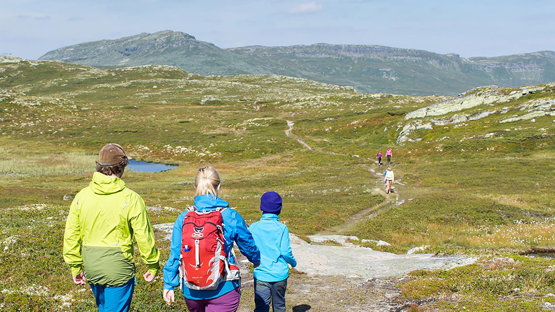 Vandretur på Skeikampen