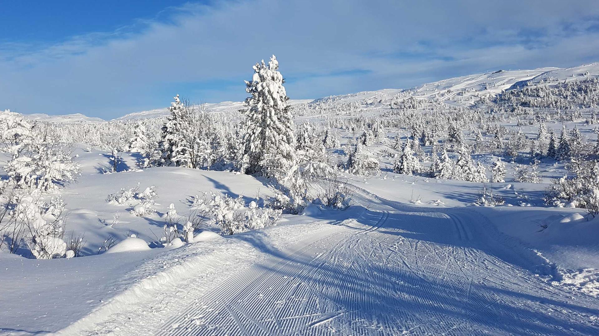 Cross-country skiing at Skeikampen