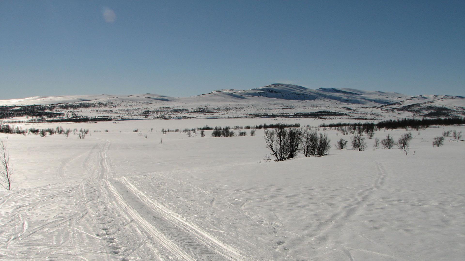 In nasjonalparkene må du tråkke opp dine egne skispor.