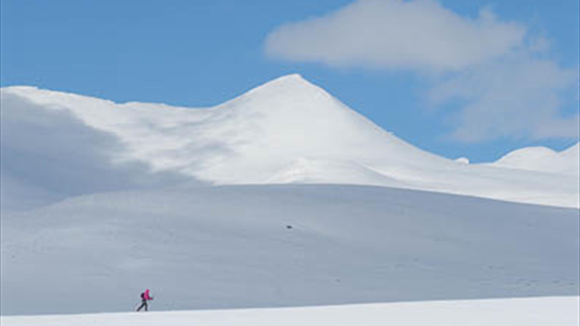 Cross Country Skiing in the mountains