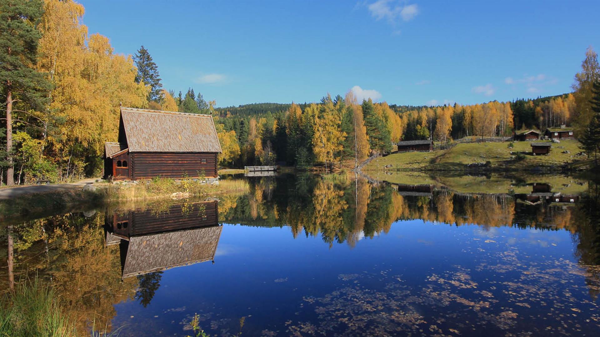 Høst på Maihaugen