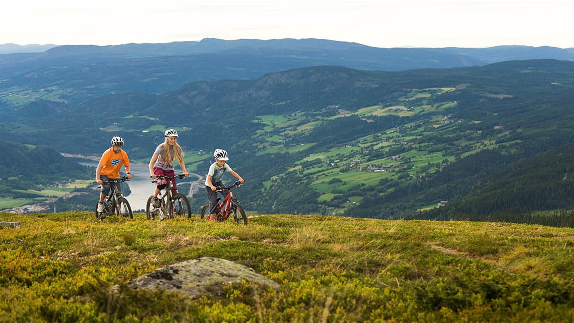 Hafjell Bike Park