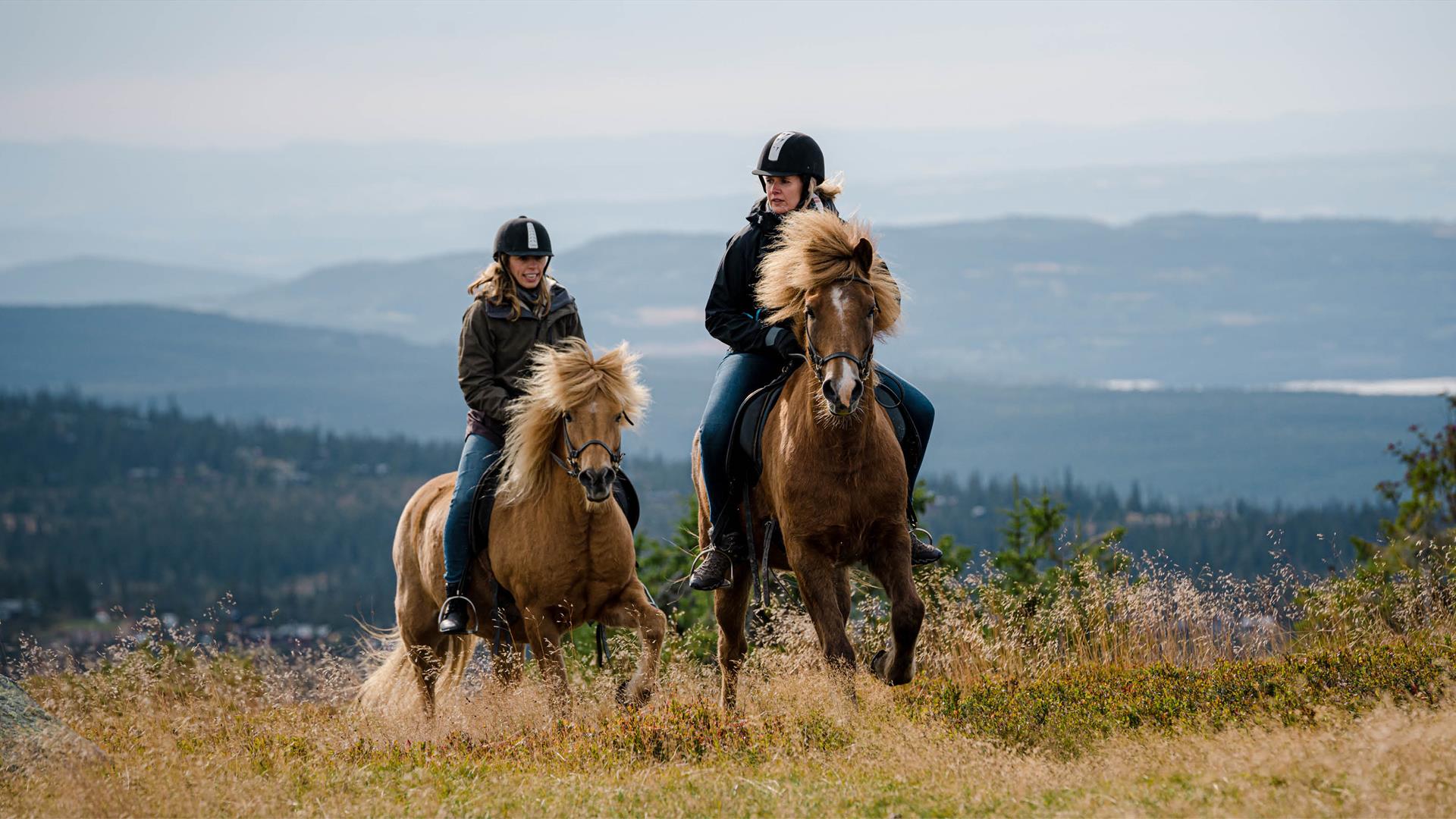 Ridetur på Sjusjøen med Åsli ridesenter