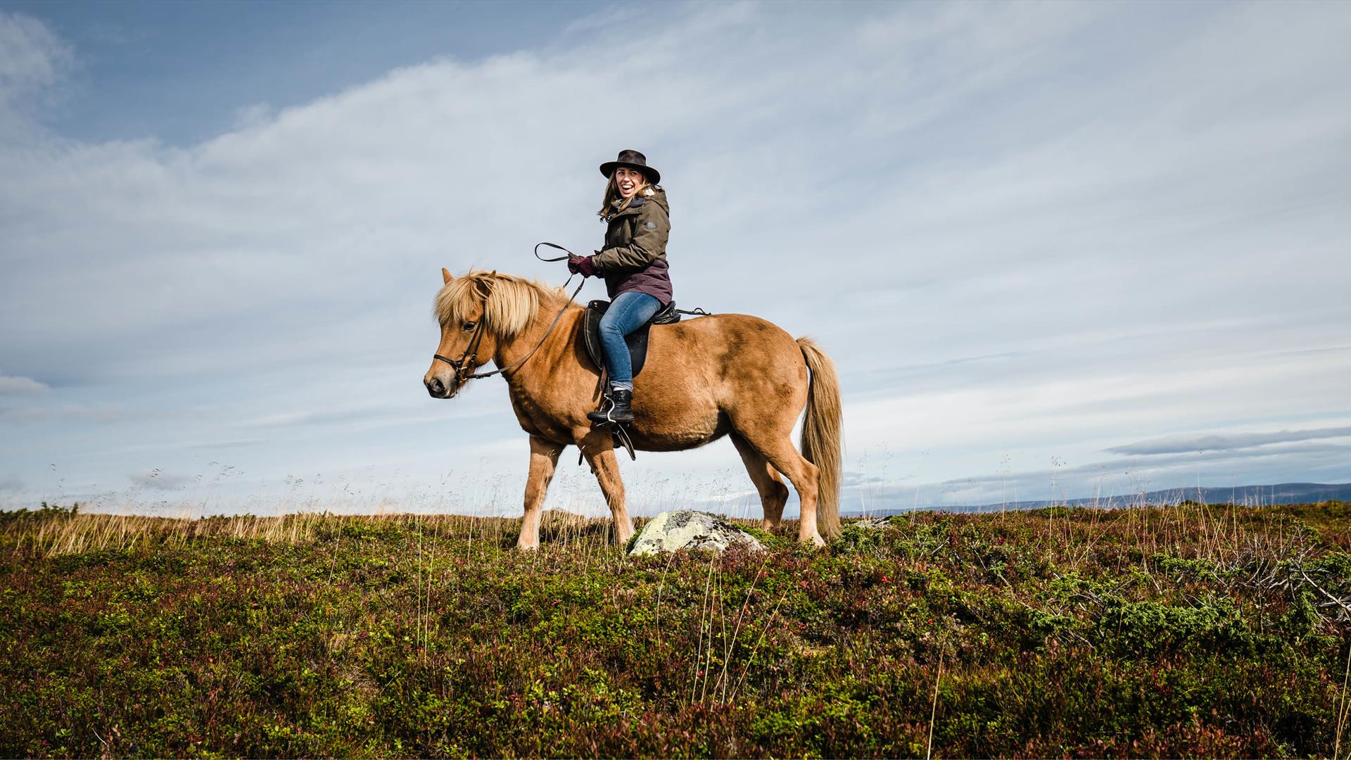 Ridetur på Sjusjøen med Åsli ridesenter