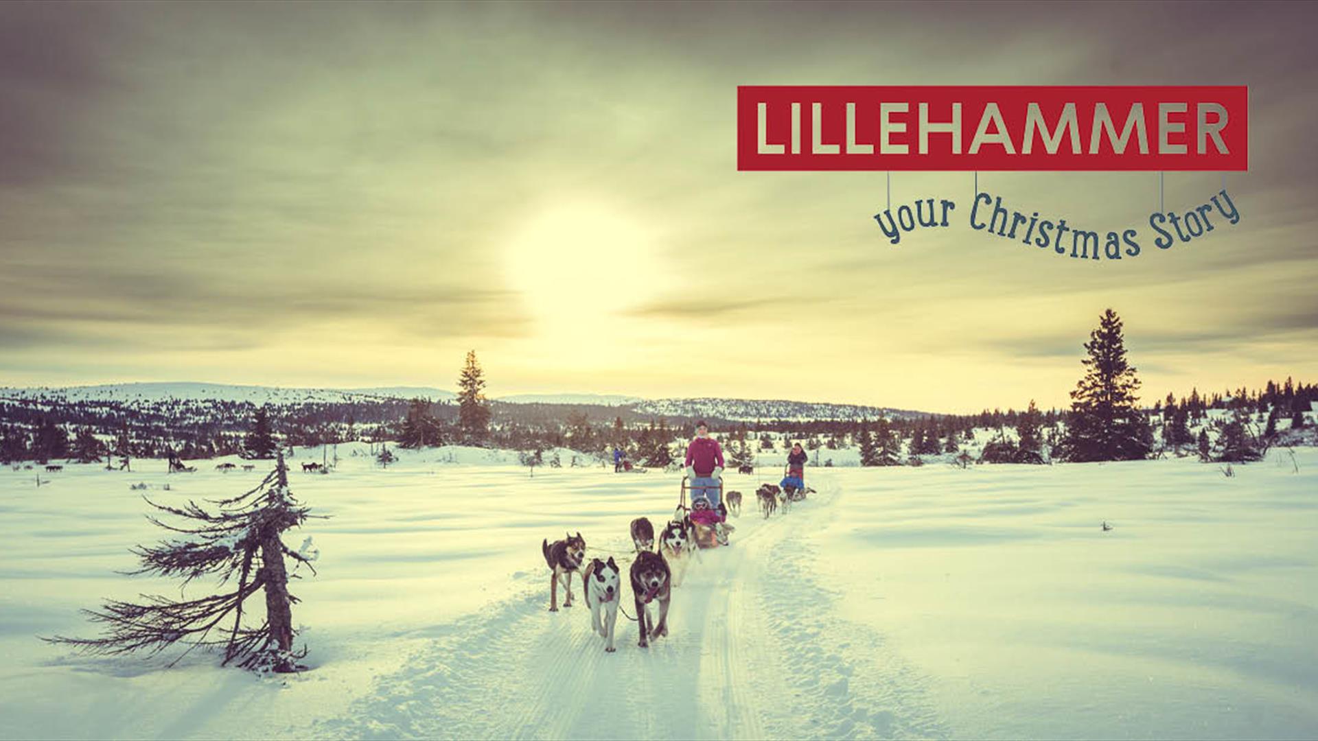 Dog sleddding at Sjusjøen with Sjusjøen Husky