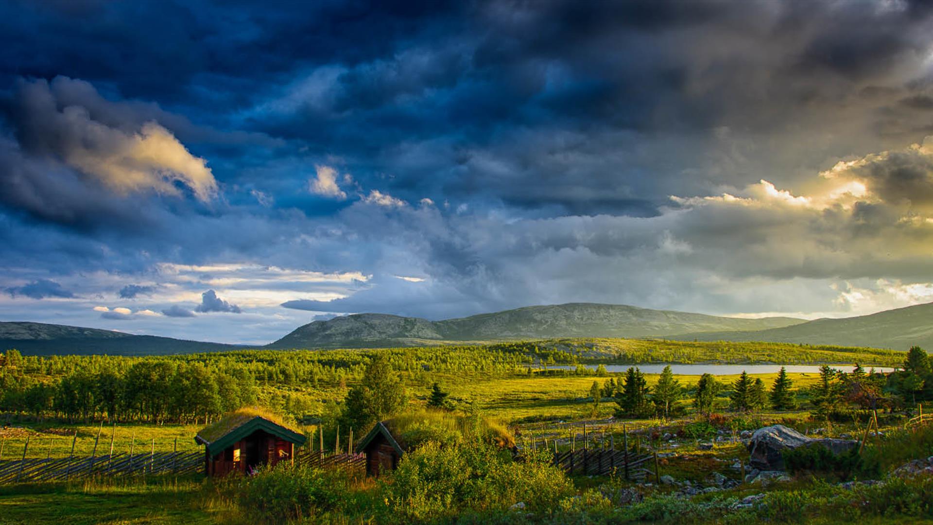 Rondane by Ian Brodie