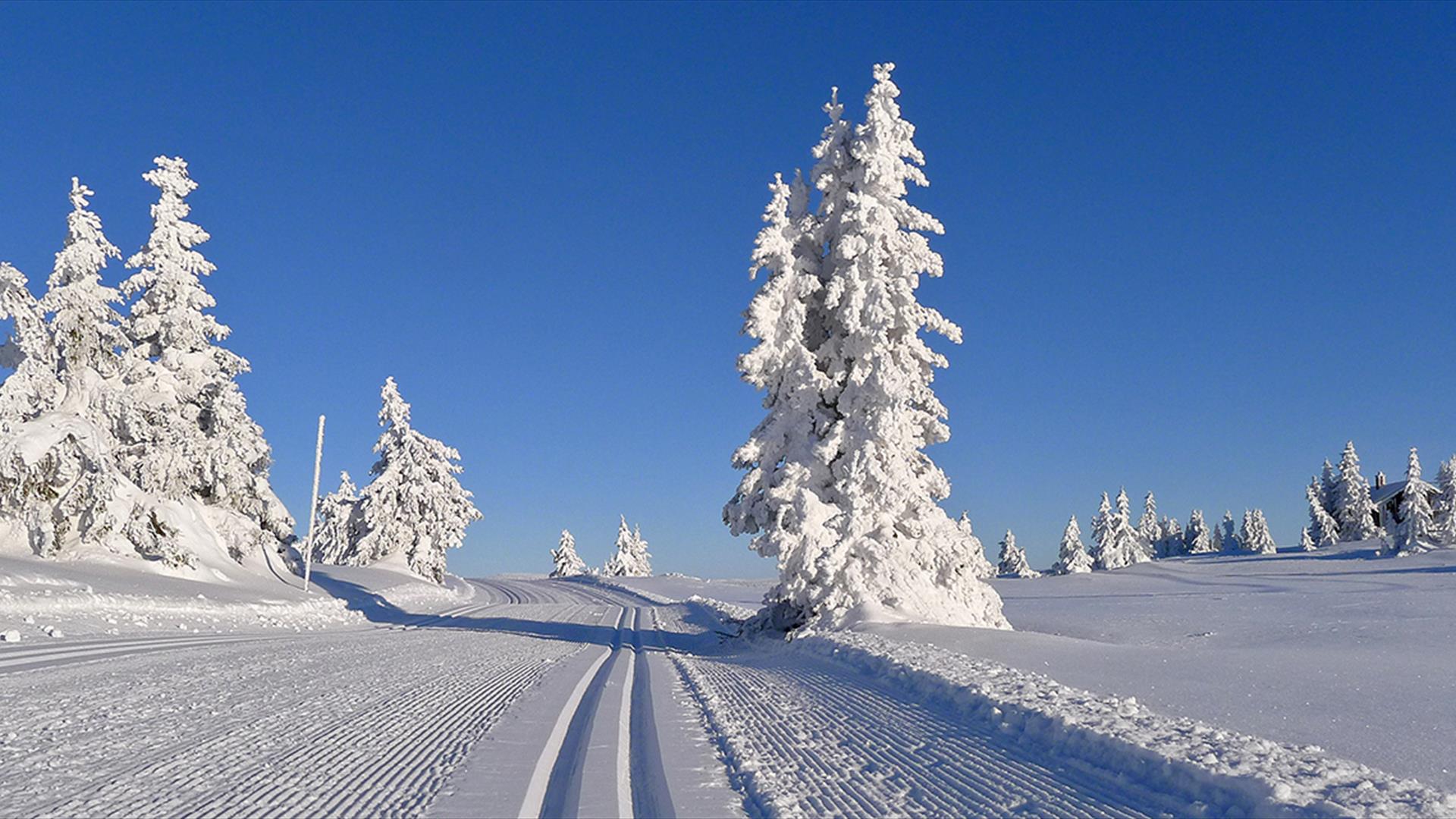 Sjusjøen