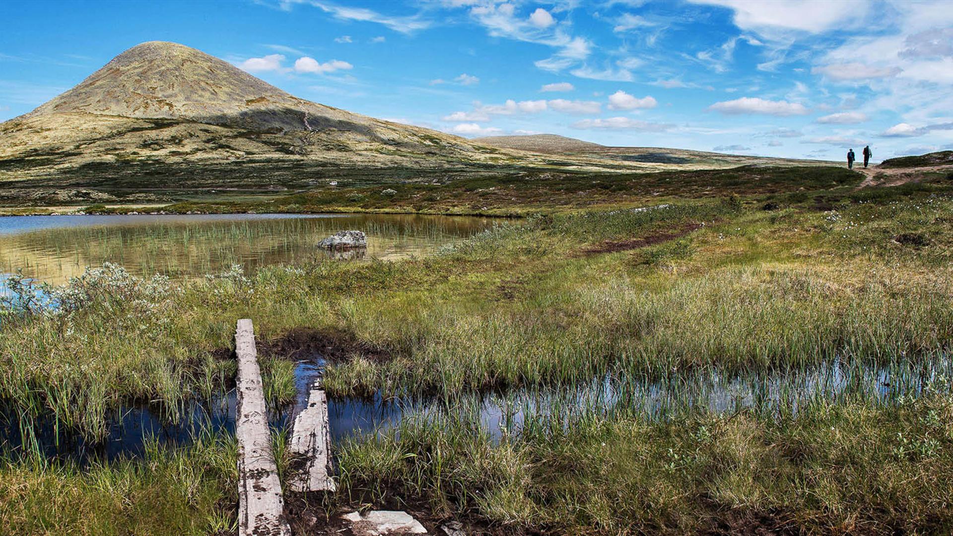 Mindfulness og fjelltur Venabu Fjellhotell