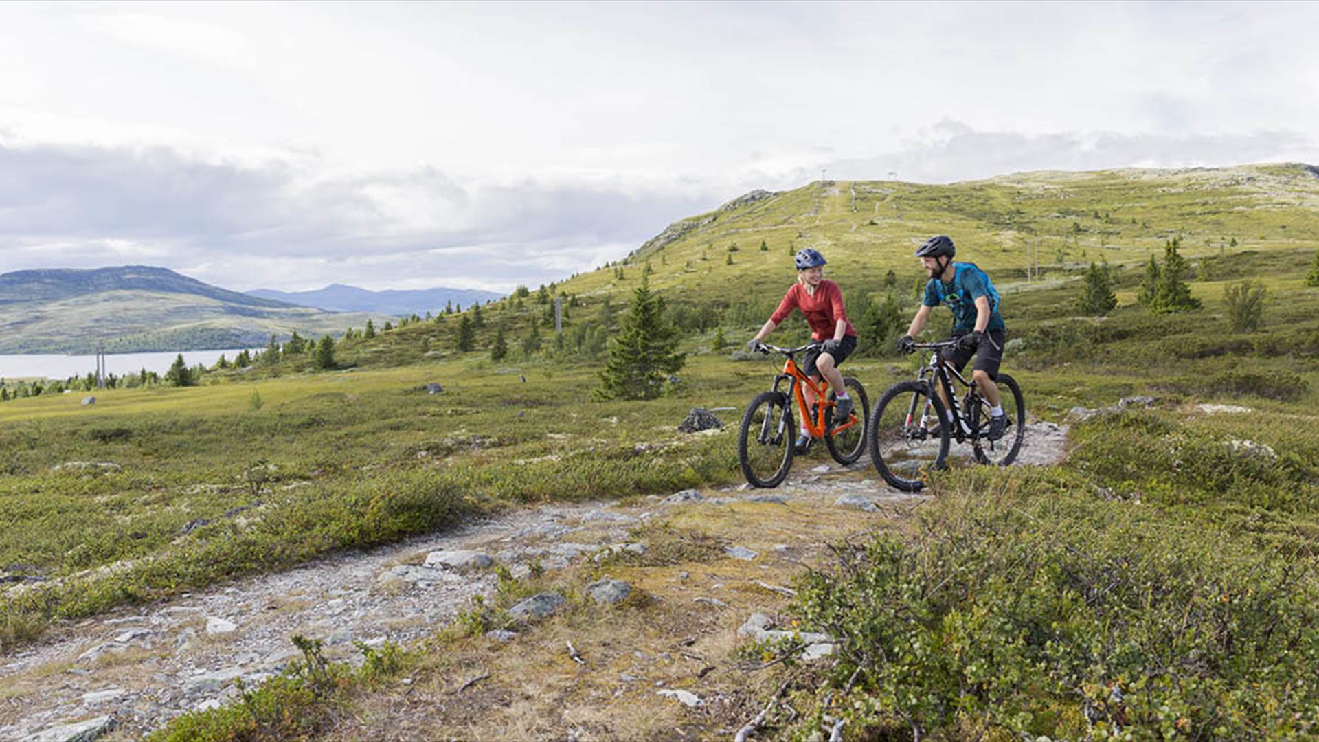 Biking at Venabygdsfjellet