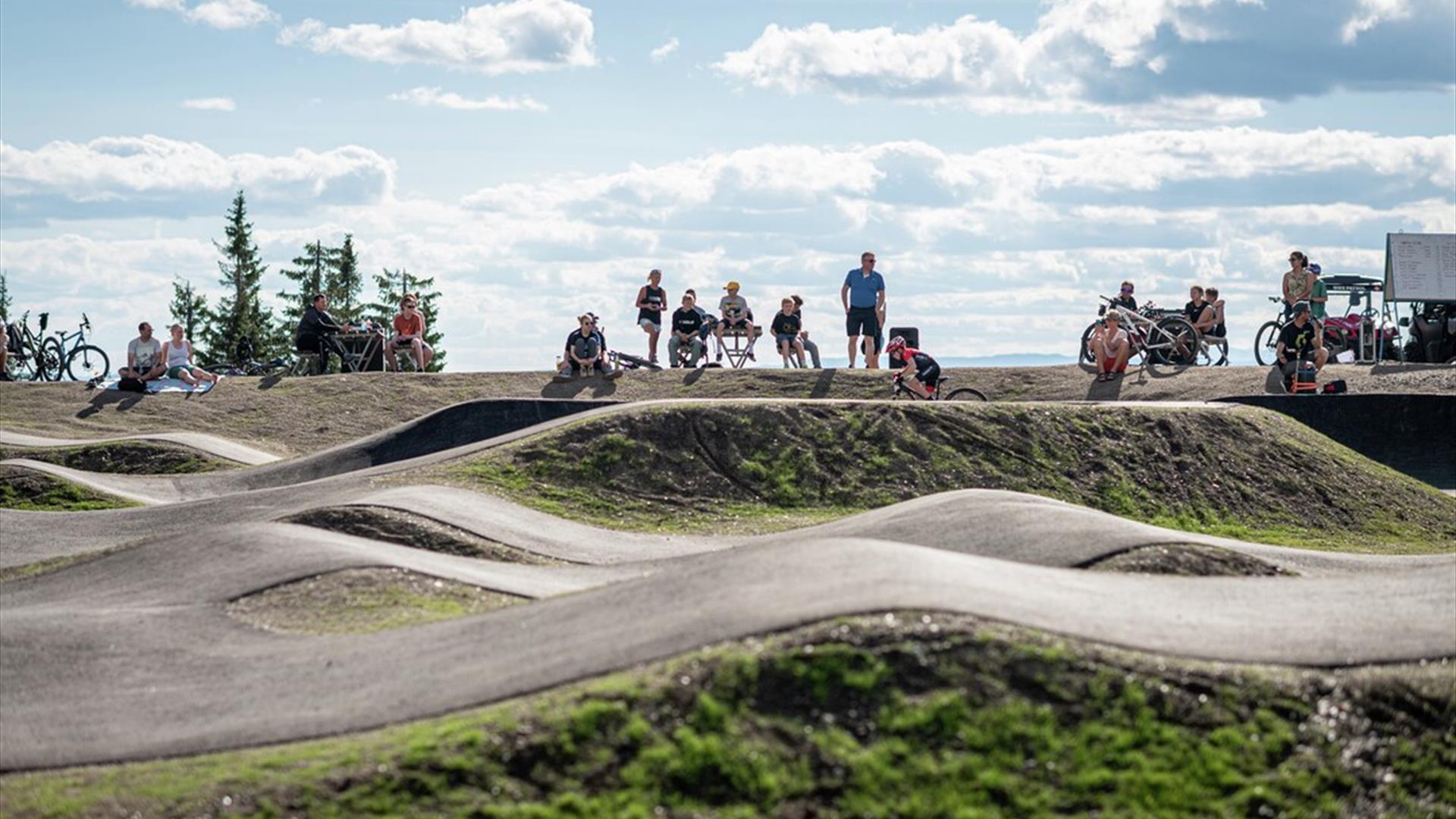 Downhill Sykling og Bike Parks