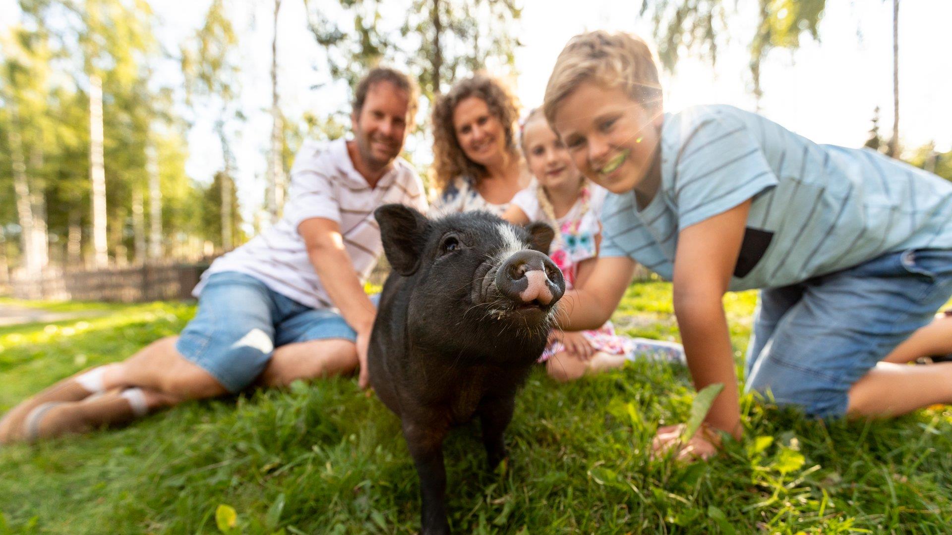 Minigris med familie i bakgrunnen