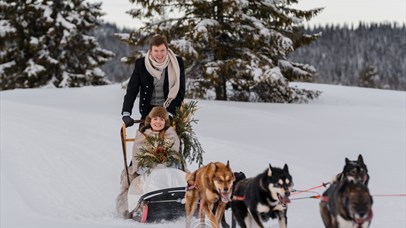 Dog sledding