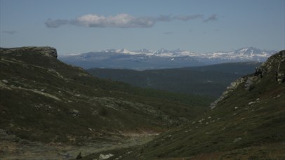 View towards Skardbua