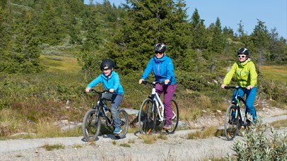 A family bicycling along a gravel road. 