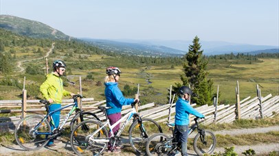 A family biking in the mountain farm landscape. 