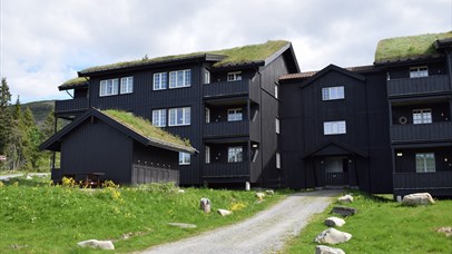 Apartments at Skeikampen