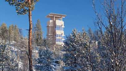 The moose observation tower