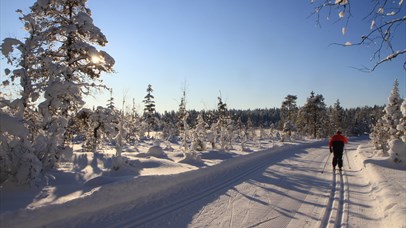 Cross-country Skiing in Lillehammermarka