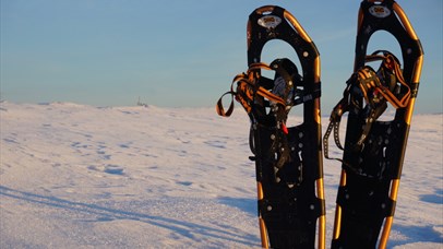 Snow shoes