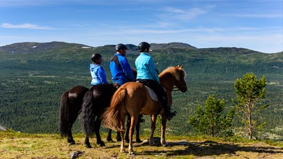 View of the horseback beyond the Espedalen