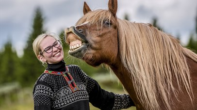 Happy horses and guides