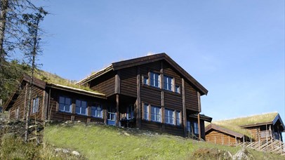 Cabin in Kvitfjell