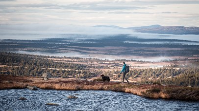 Person by water in a mountain landscape with views