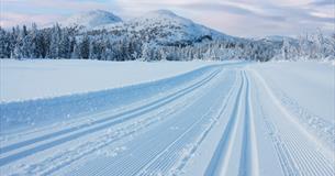 Crosscountry tracks at Sjusjøen