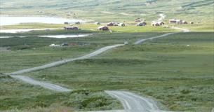 Jotunheimvegen