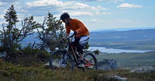 Terrengsyklist klatrer opp stien til Brannytta.