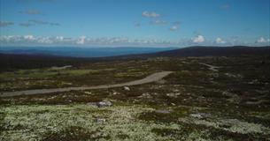 The Birkebeiner road