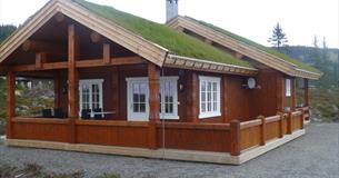 Hytte med gresstak, Norgesbooking