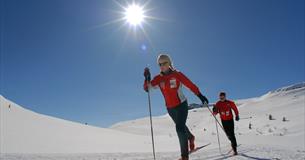 Crosscountry skiing in sunshine