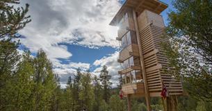 The moose tower in Espedalen