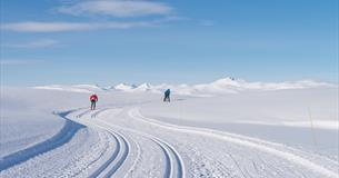 Fjell og langrennsløpere på en dag med blå himmer og sol. Rondane i bakgrunnen. Spidsbergseter Resort Rondane.